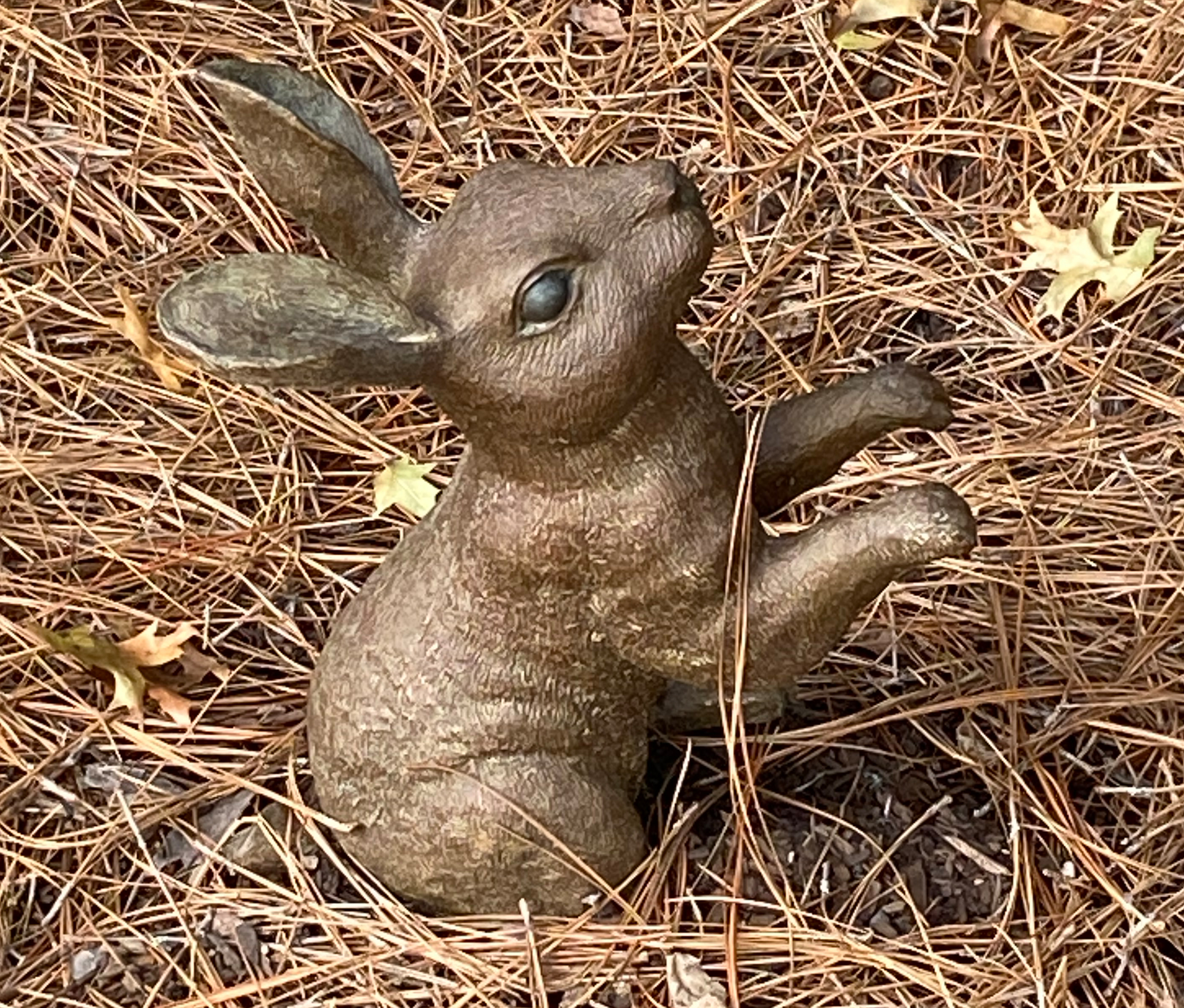 Cor-rabbit sculpture